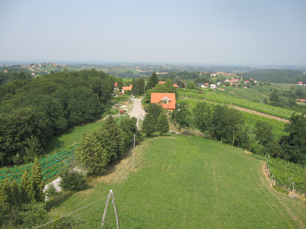 Zaselki