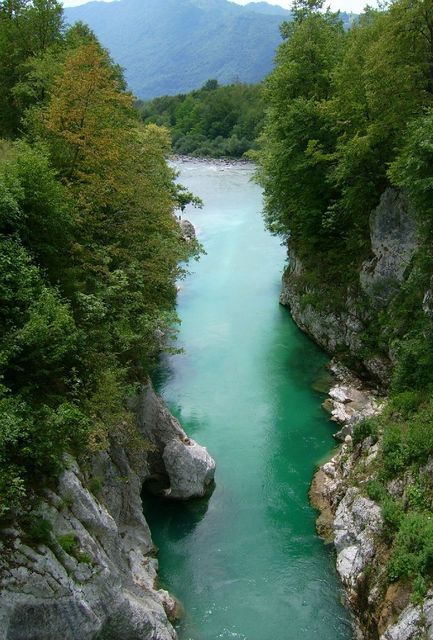 Soča