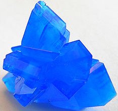 Modra galica