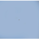 01.1.jpg<>Paramecij, velik 0,1 mm, je tako majhen, da ga pri 10-kratni povečavi komajda opazimo. 