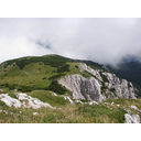 0322_gorski_travnik_peca.JPG<>Gorski travnik in ruševje.