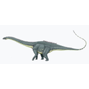 640px-Diplodocus_carng1DB.jpg<>Diplodok (54 m; 113 t)