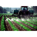c5a16b726f706c6a656e6a65.jpeg<>S škropljenjem s pesticidi preprečimo bolezen rastlin.